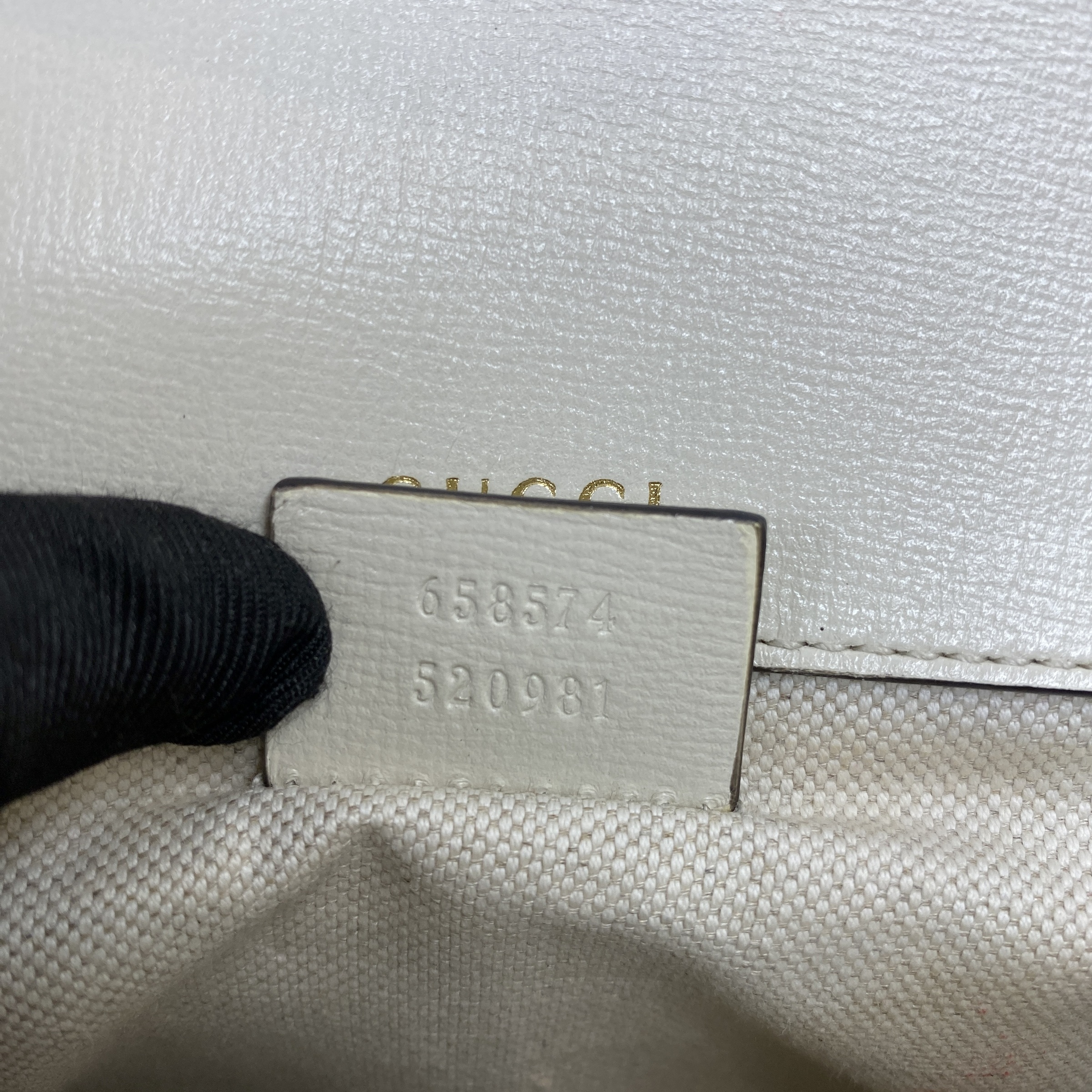 IMG_6624-1772084303552