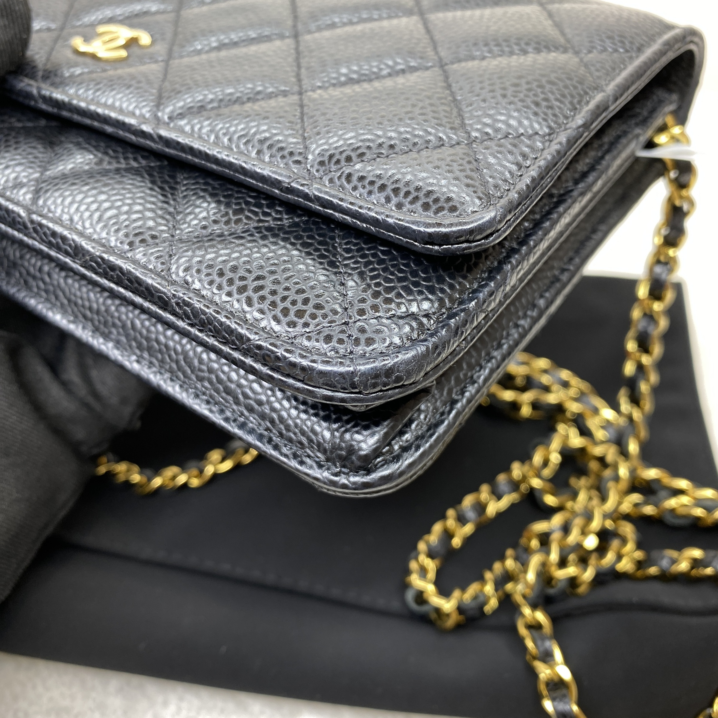 IMG_6638-1772084762135