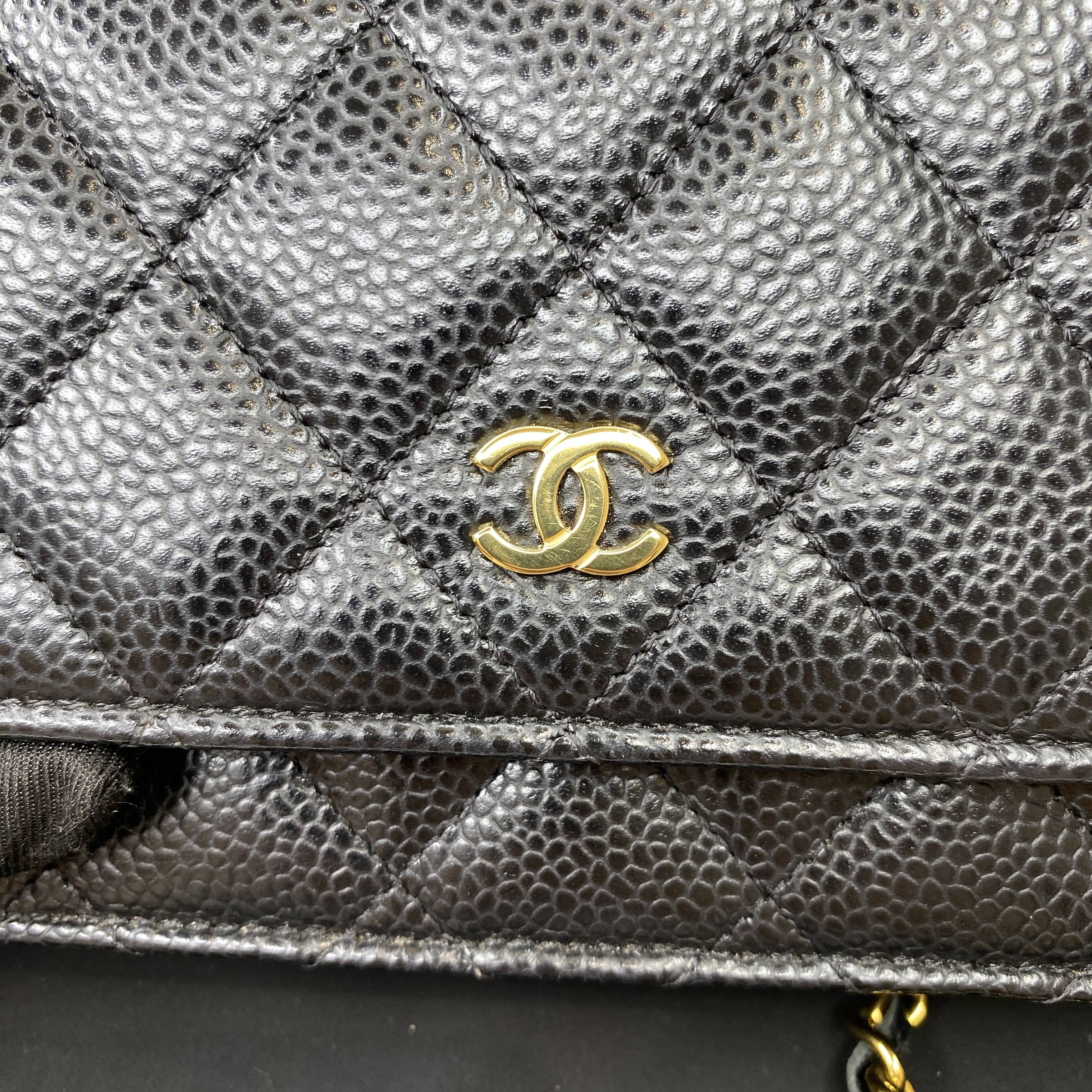 IMG_6644-1772084761066