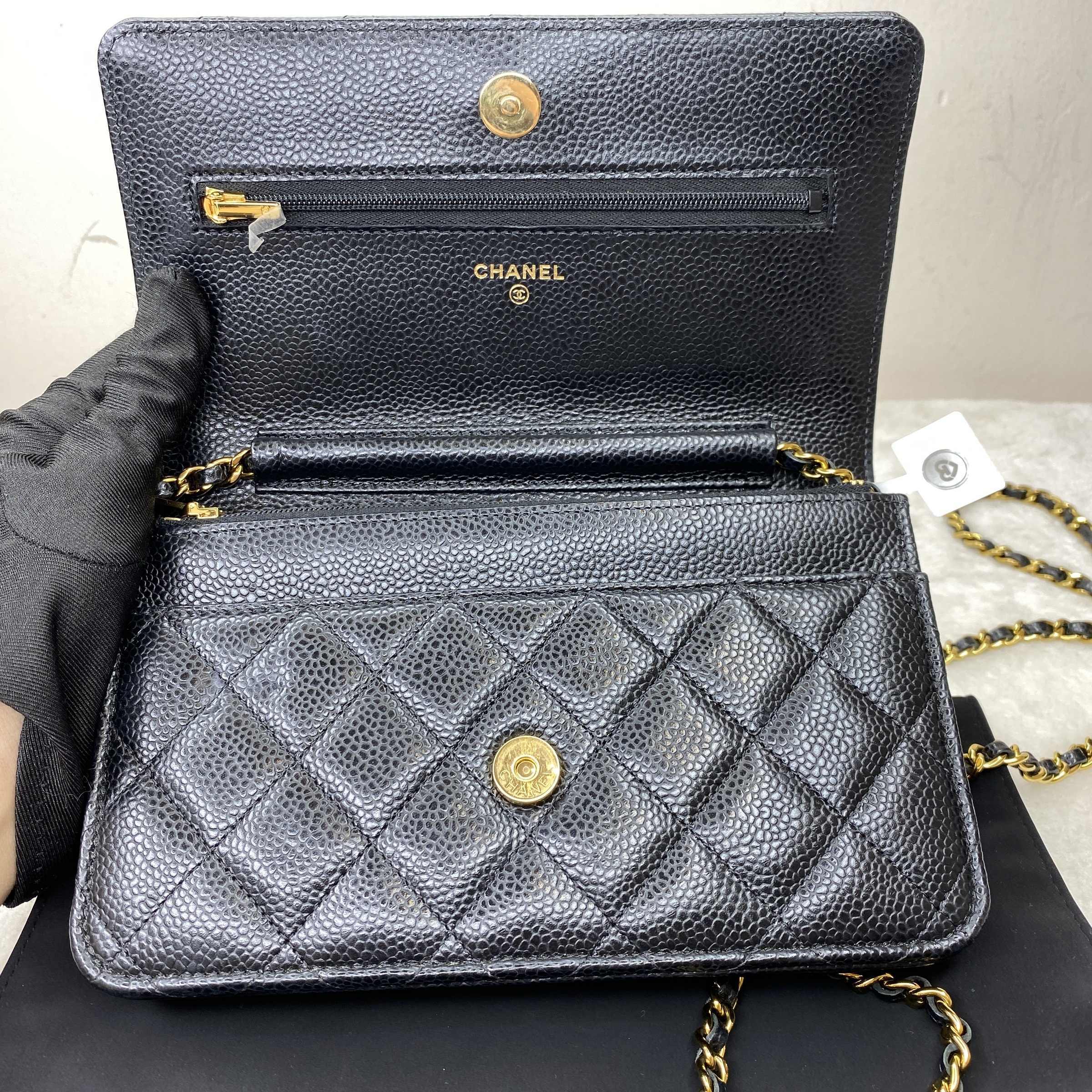 IMG_6647-1772084761872