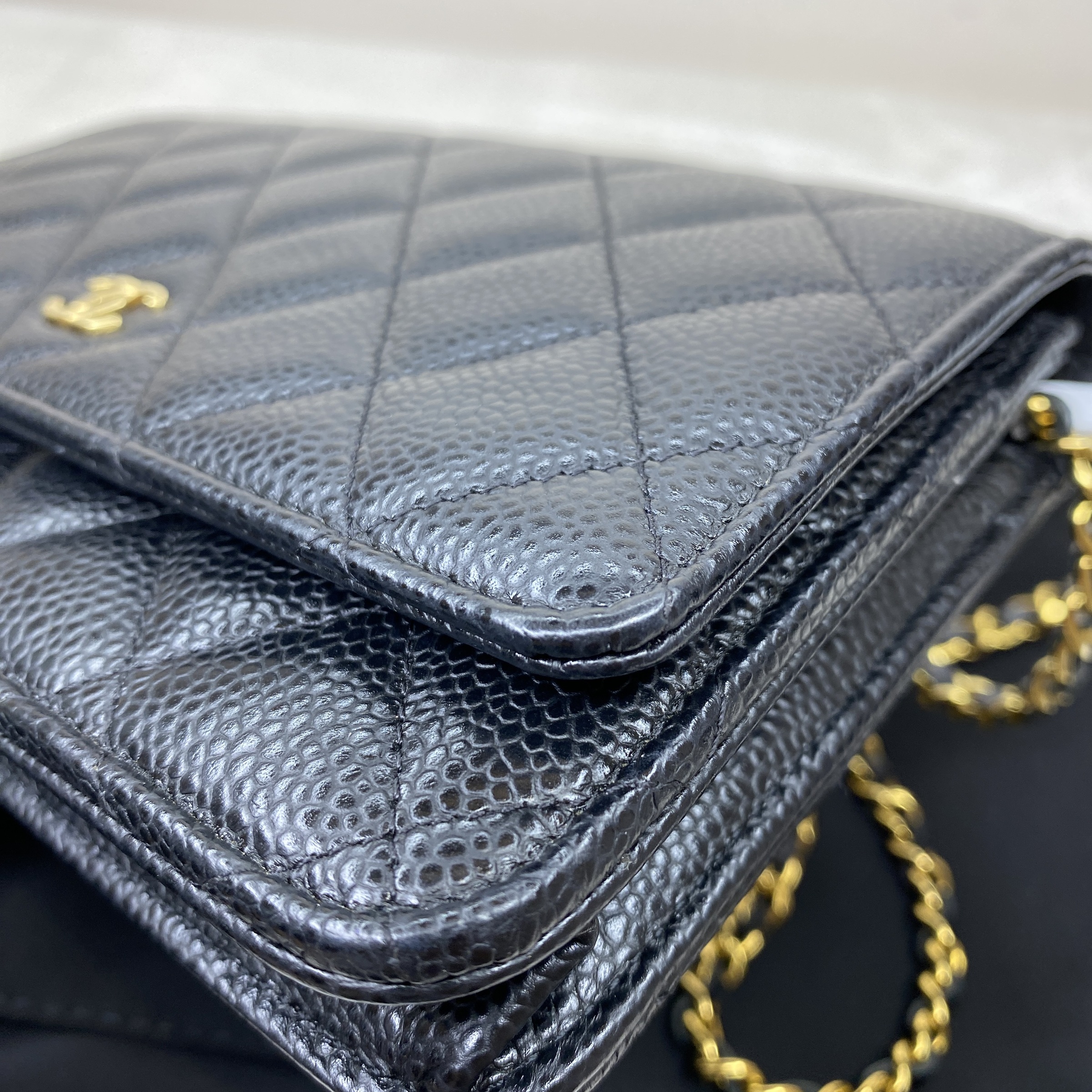 IMG_6646-1772084761773