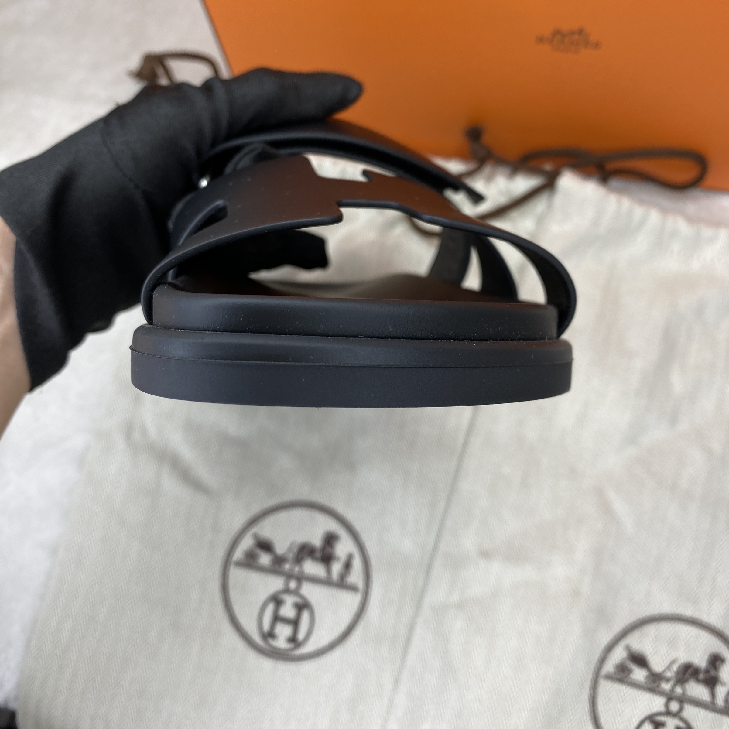 IMG_6689-1772086689123