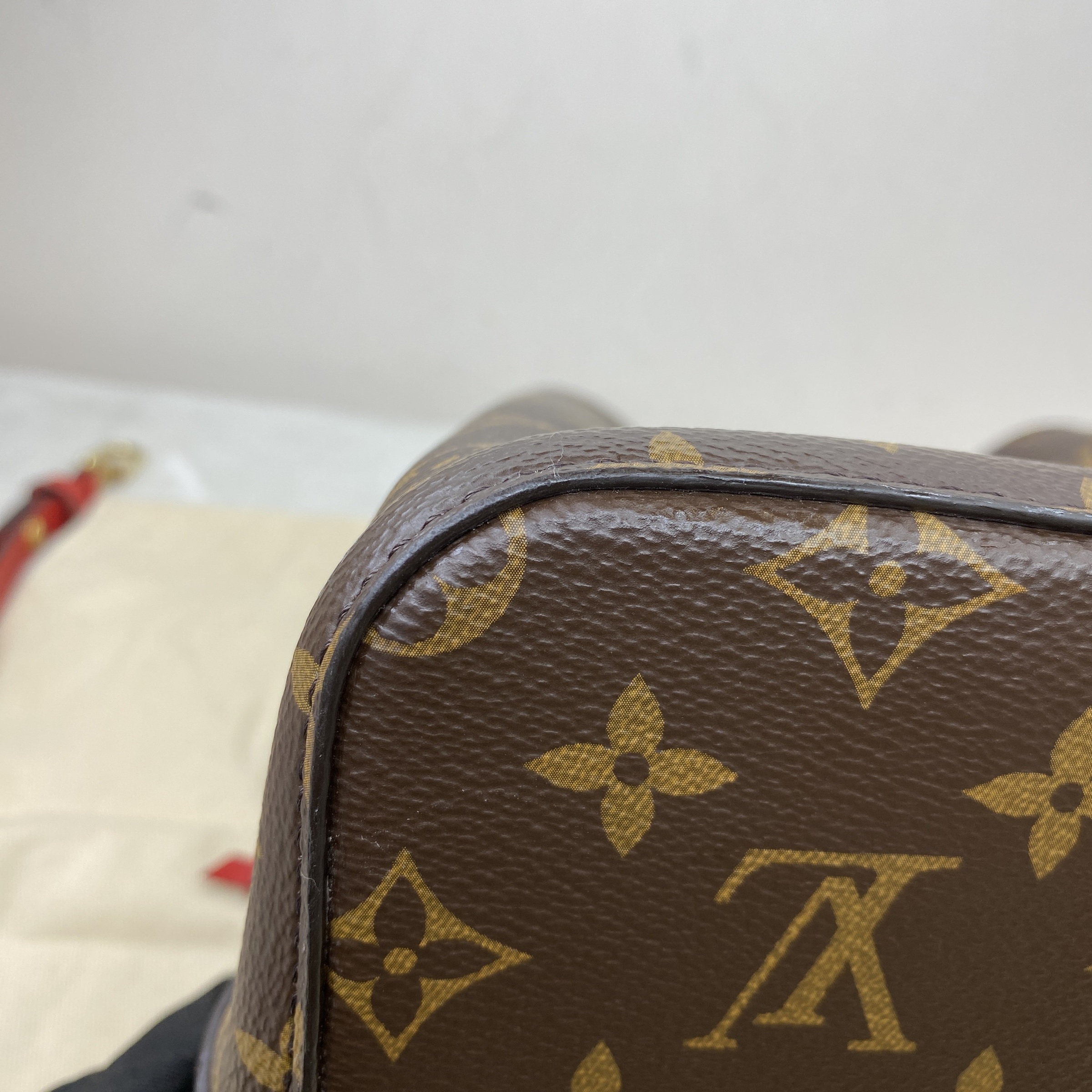 IMG_6729-1772088159246