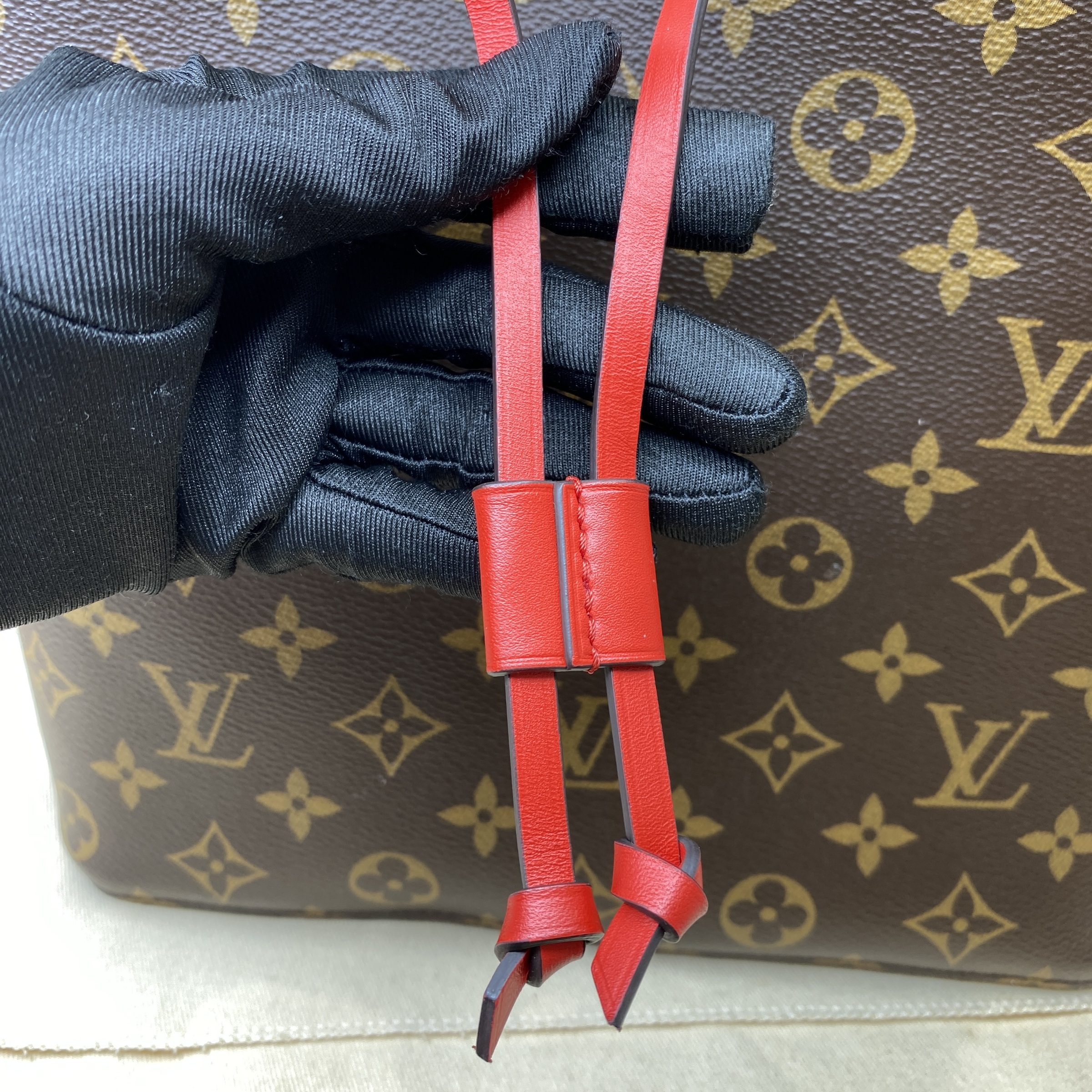 IMG_6733-1772088159345