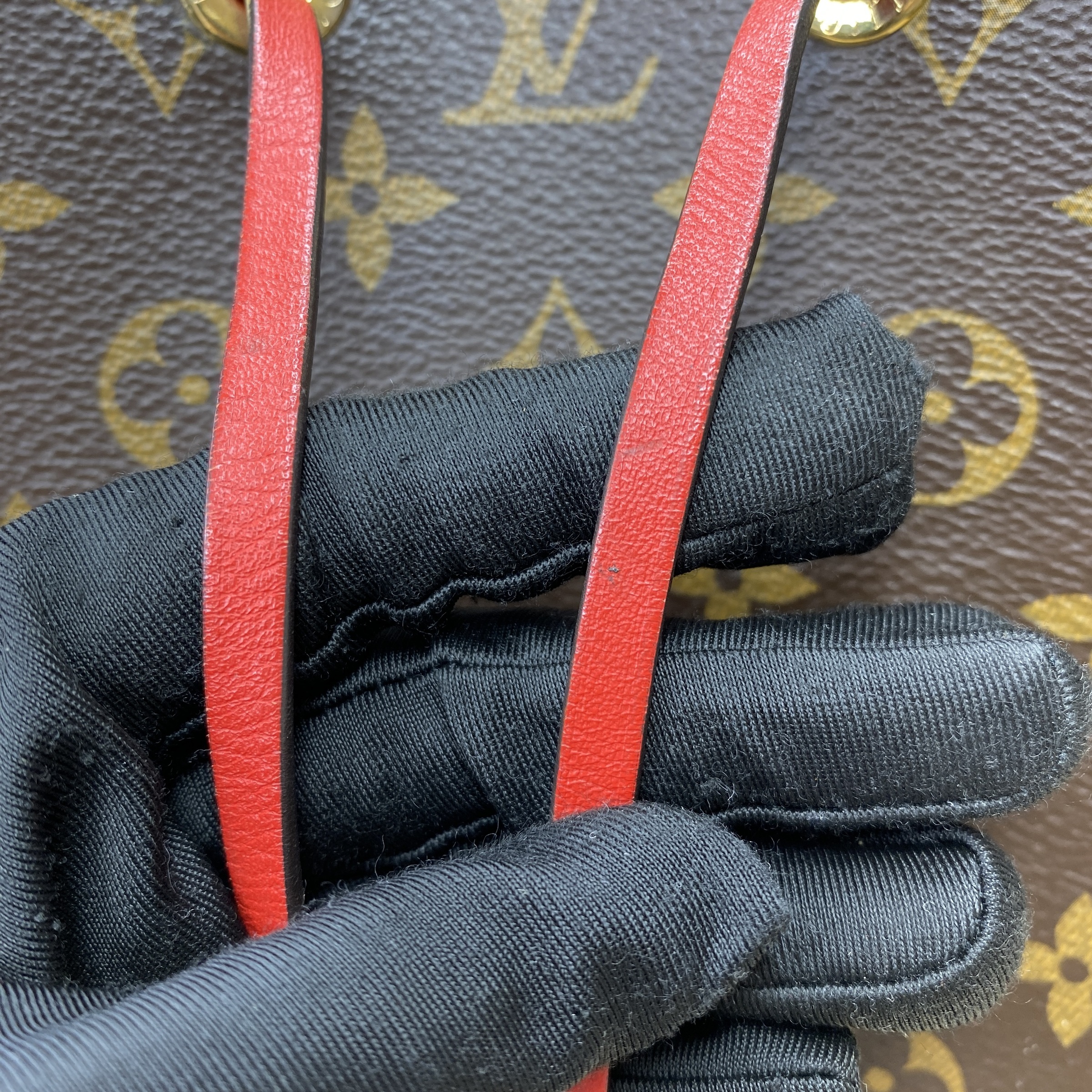 IMG_6823-1772260126538