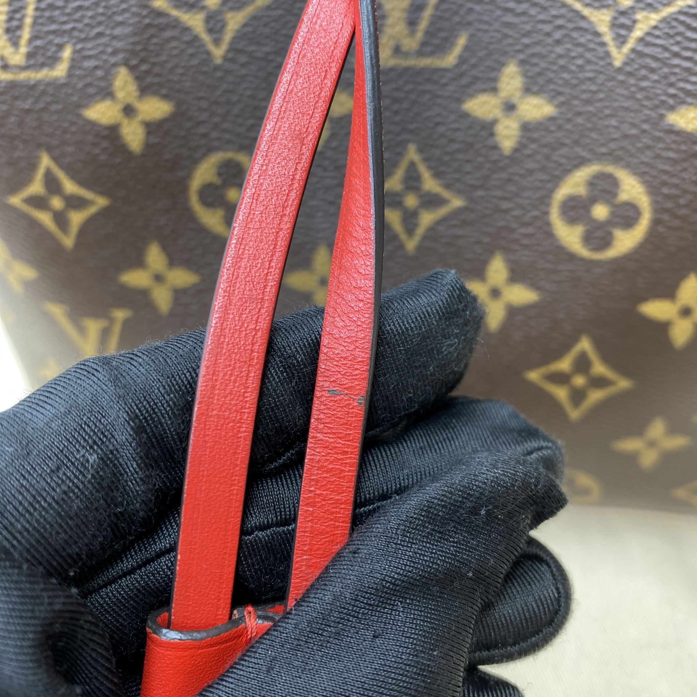 IMG_6825-1772260127261