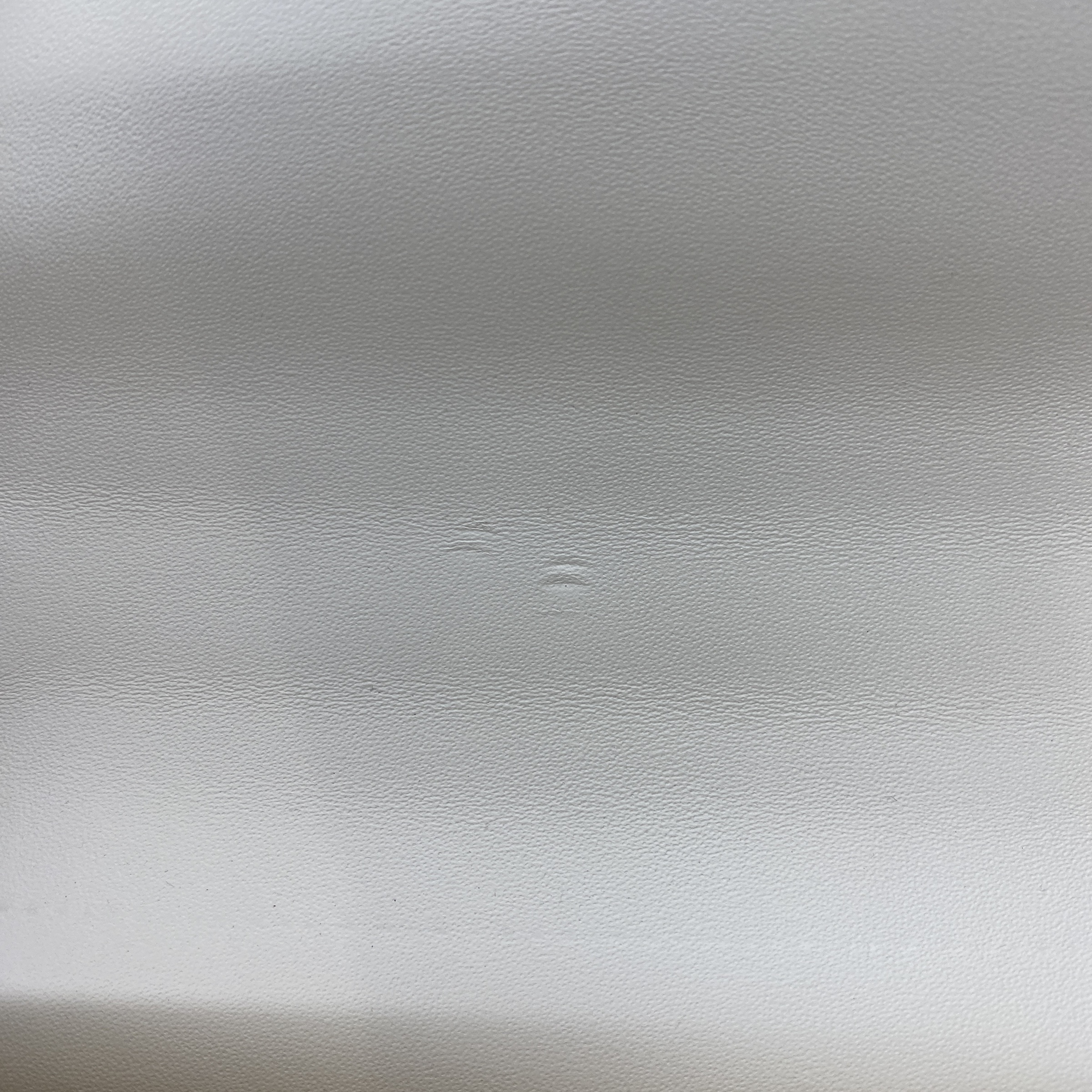 IMG_6888-1772265133370