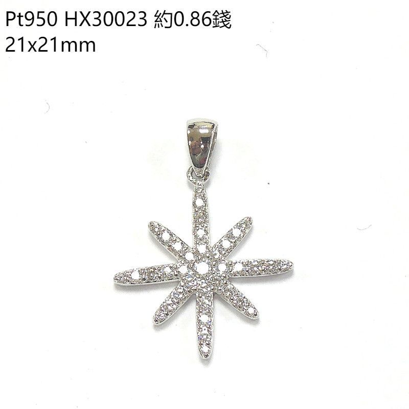 HX30023.jpg