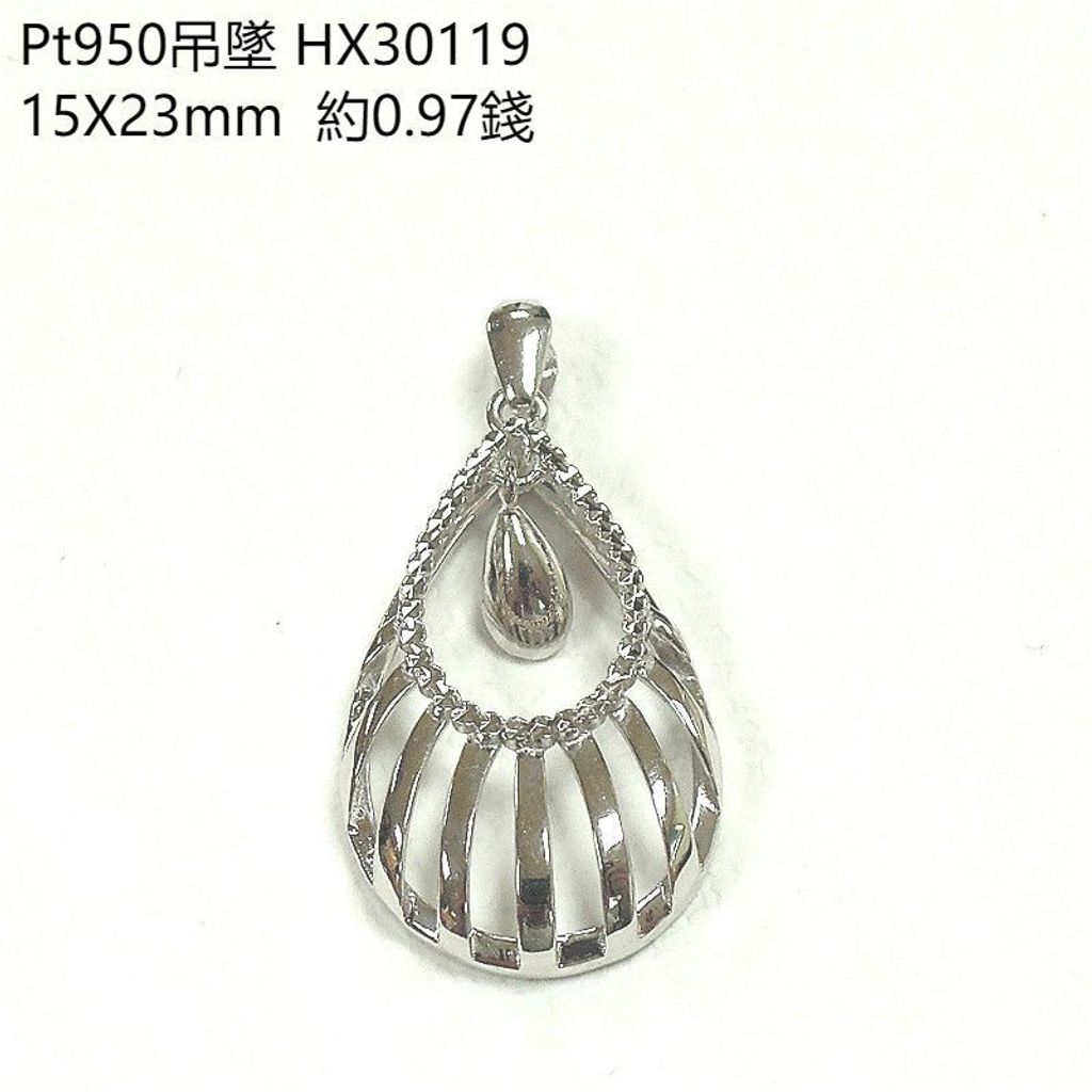 HX30119.jpg