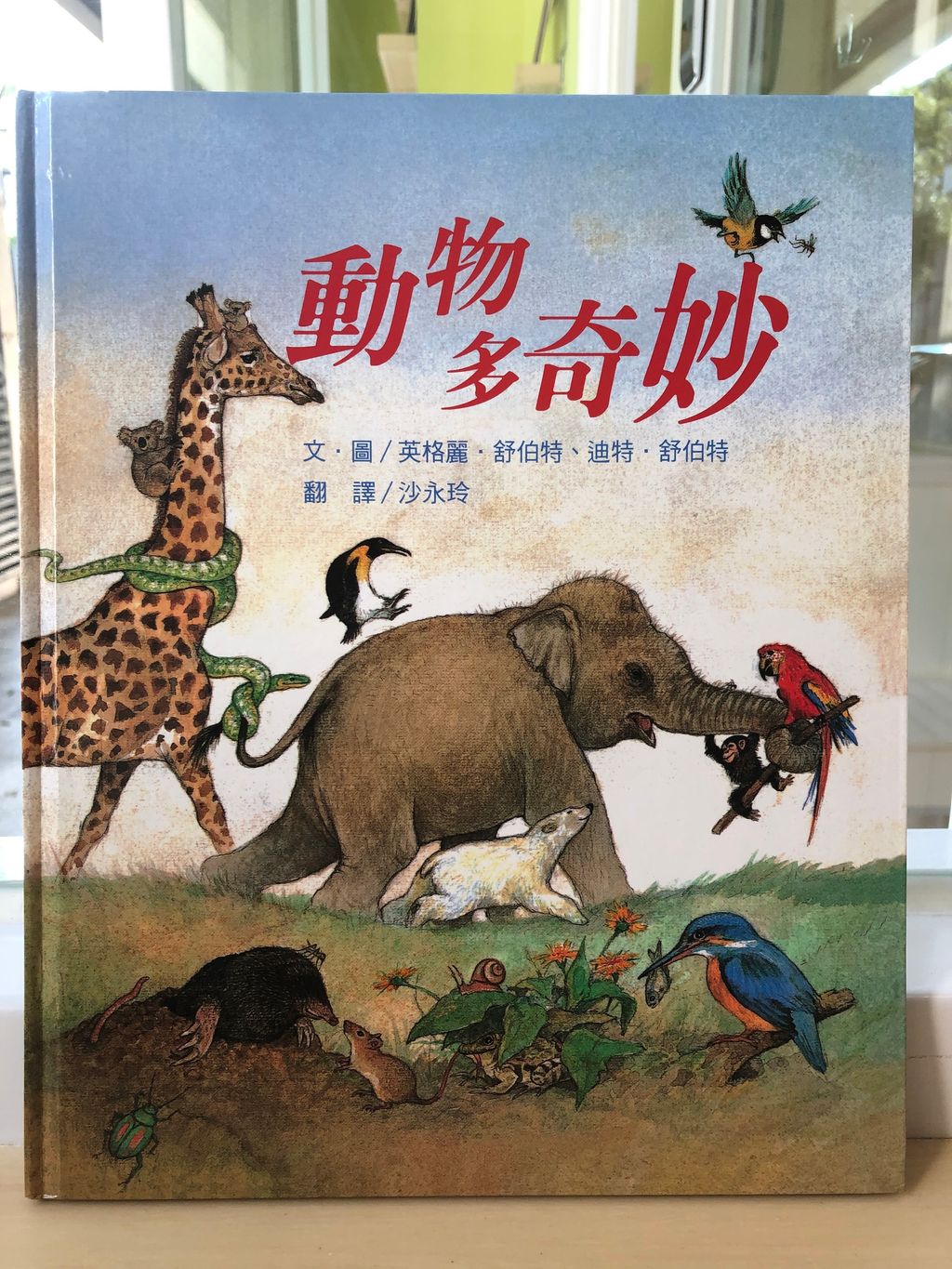 動物多奇妙.jpg