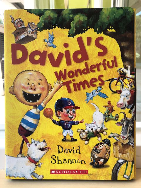 David套書封面.jpg
