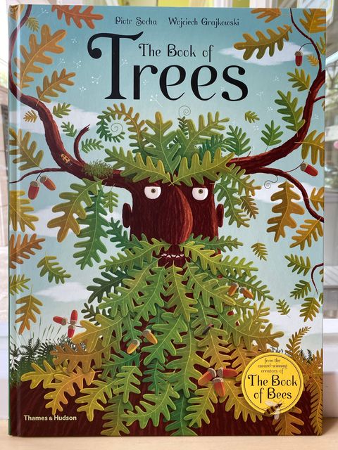 trees1.JPG