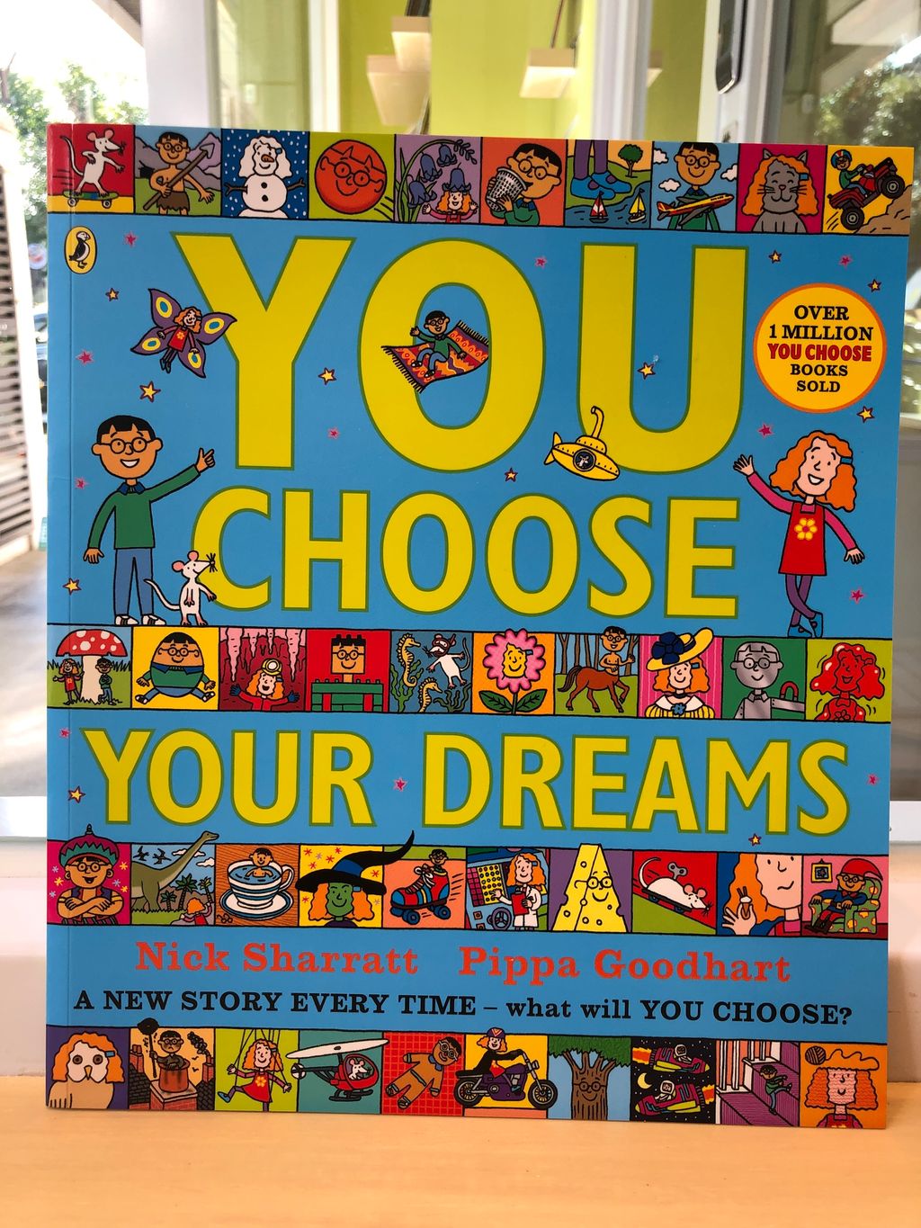 You choose your dreams pixie dust children s bookshop