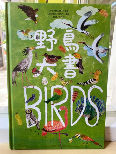 野鳥大書BIRDS.JPG
