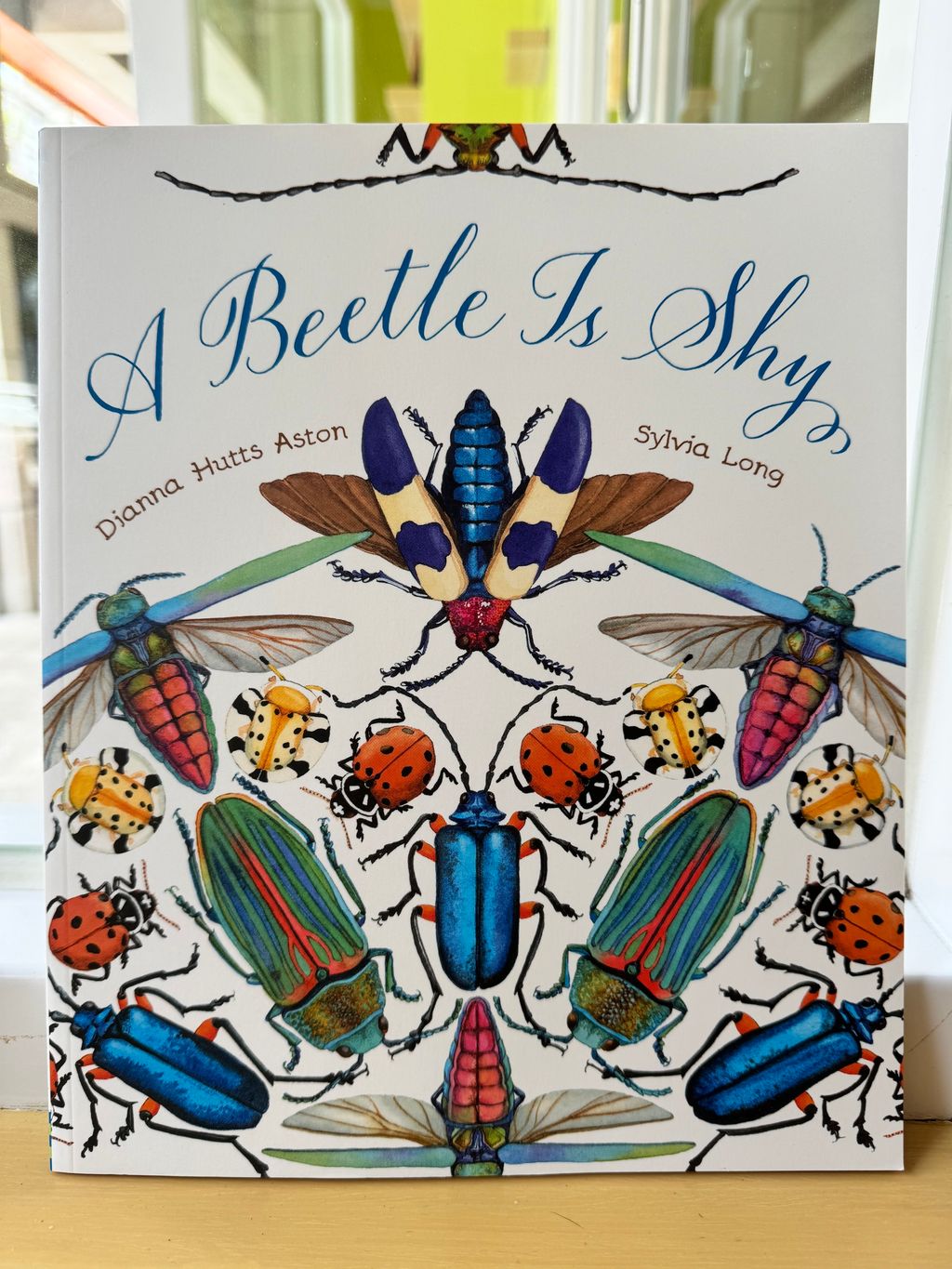 A Beetle is Shy