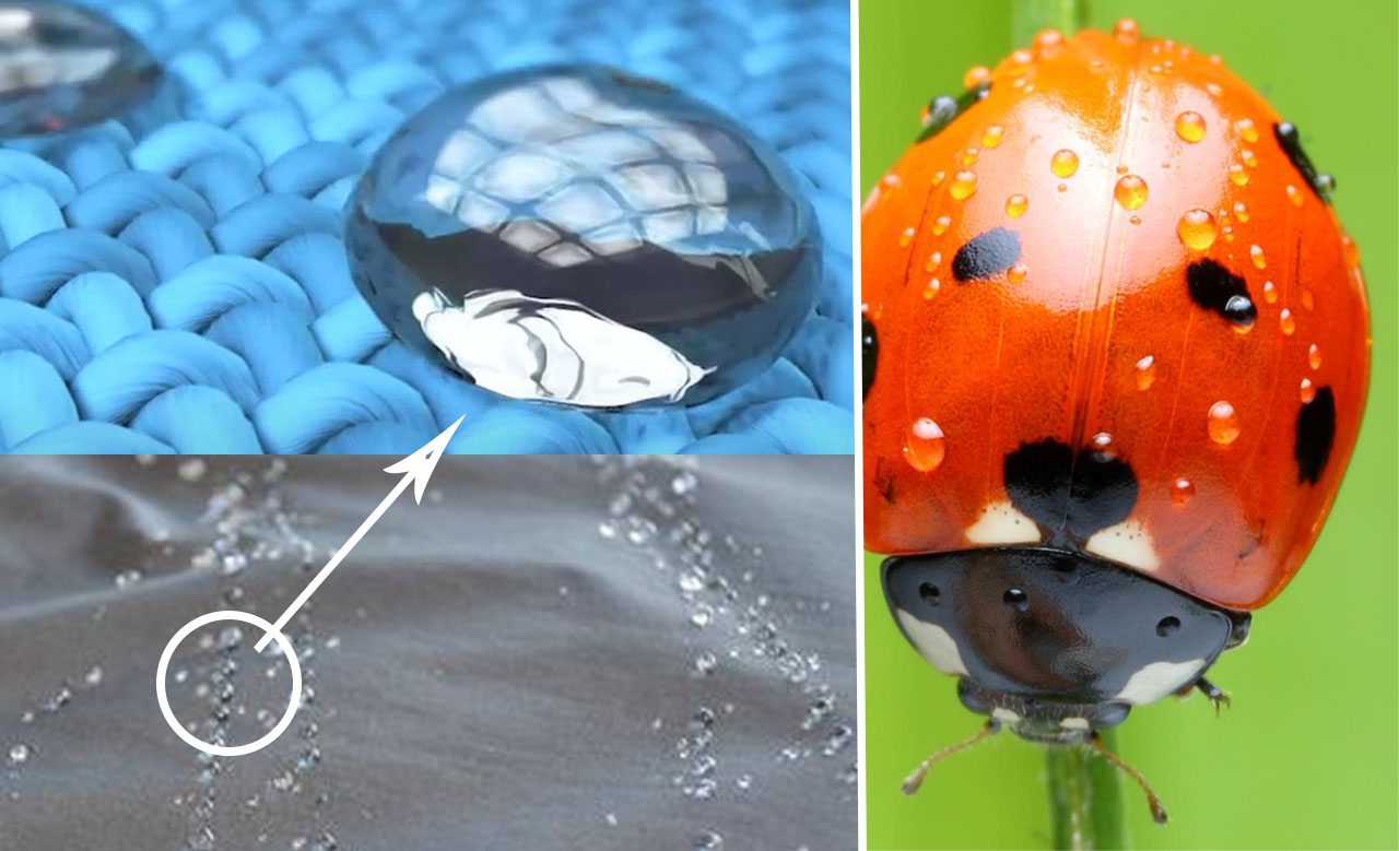 waterdrop