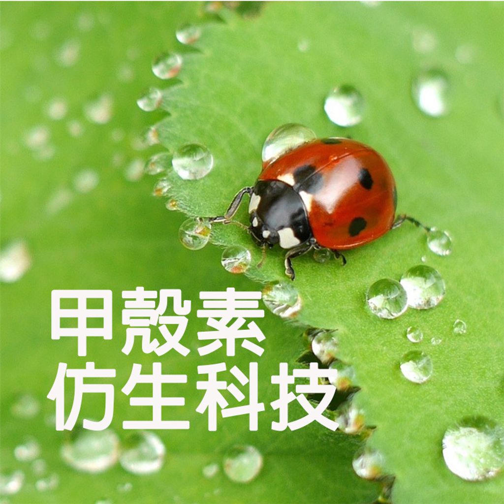 ladybug-800.jpg