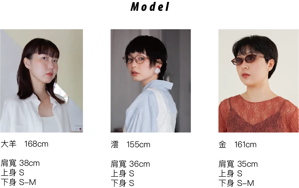 model資訊