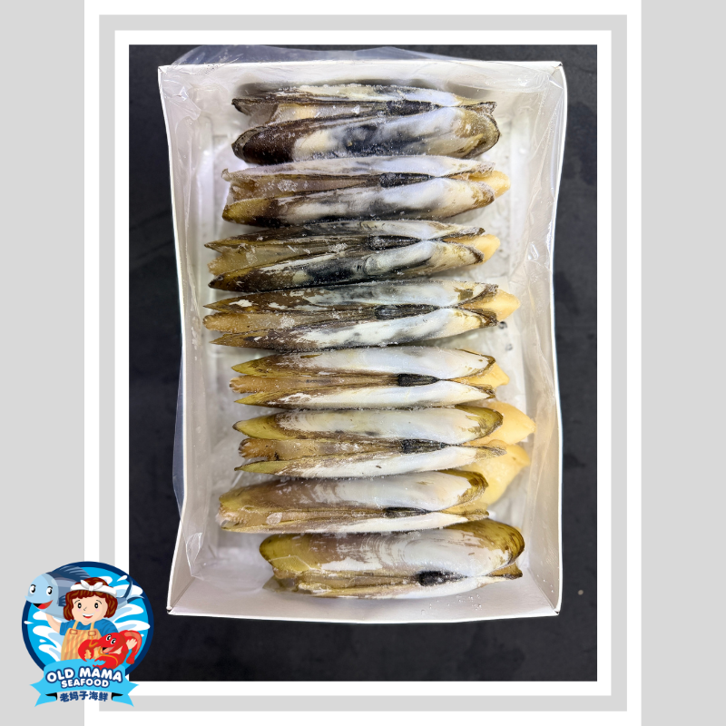 NZ half Shell Mussel (1).png