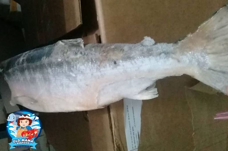 salmon fish online delivery malaysia sockeye 1.jpg