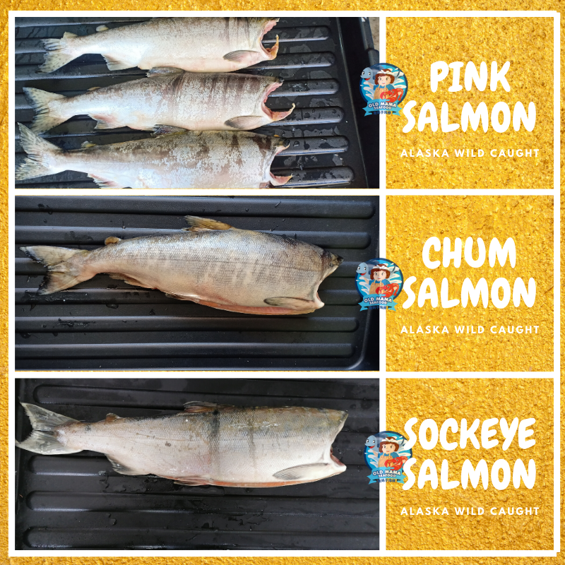 salmon fish online delivery malaysia 14.png