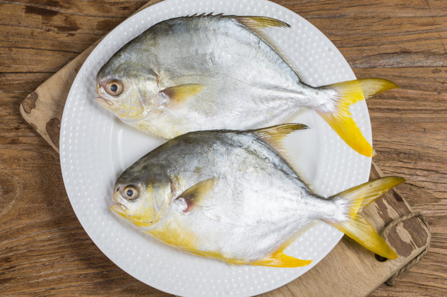 Pomfret fish in malay