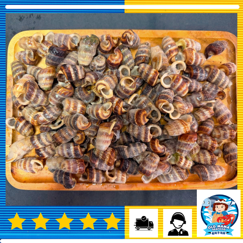 MUSSEL MEAT 300500 (4)