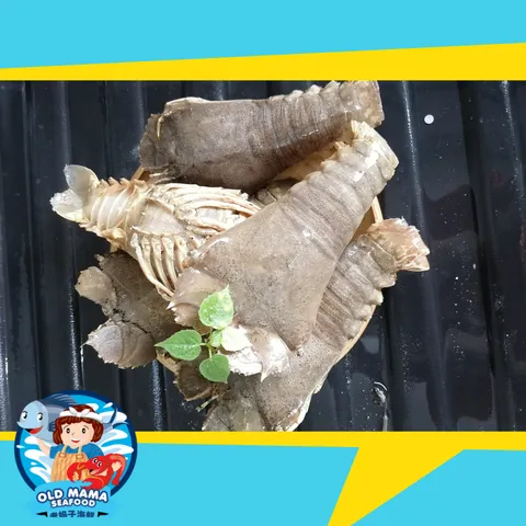 Slipper lobster.png