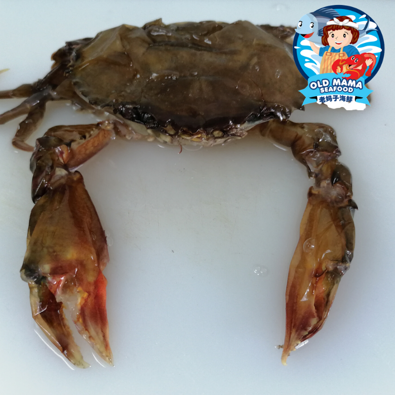 Soft Shell Crab (1).png