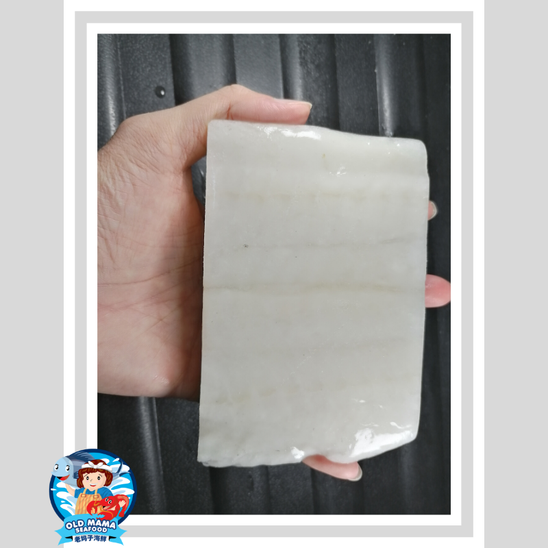 ATF fillet (2).png