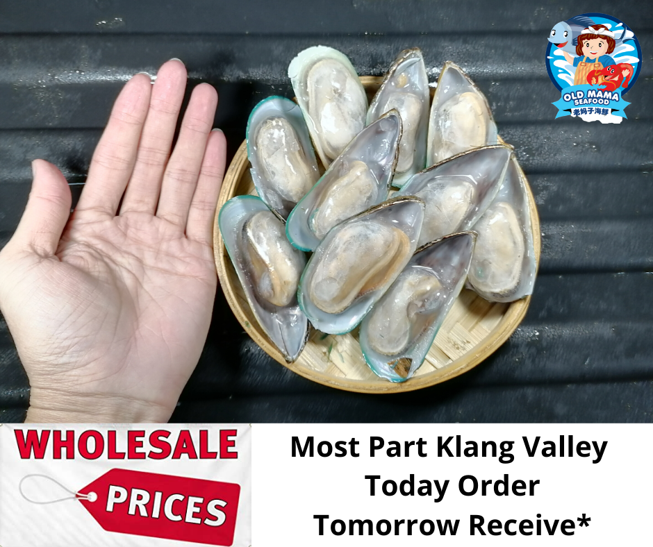 NZ half Shell Mussel (5).png