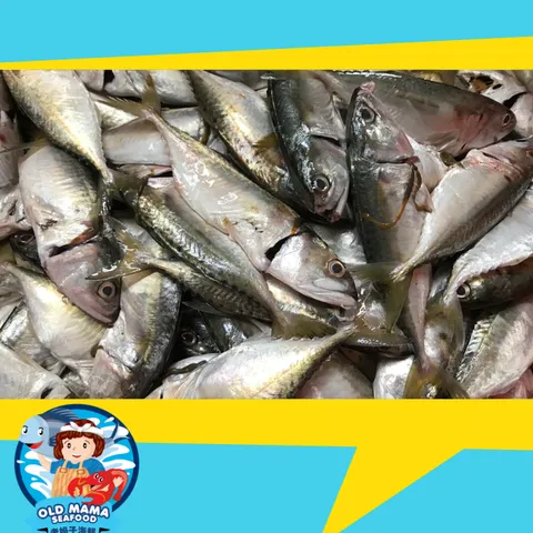 Kembong Fish 6 8.png