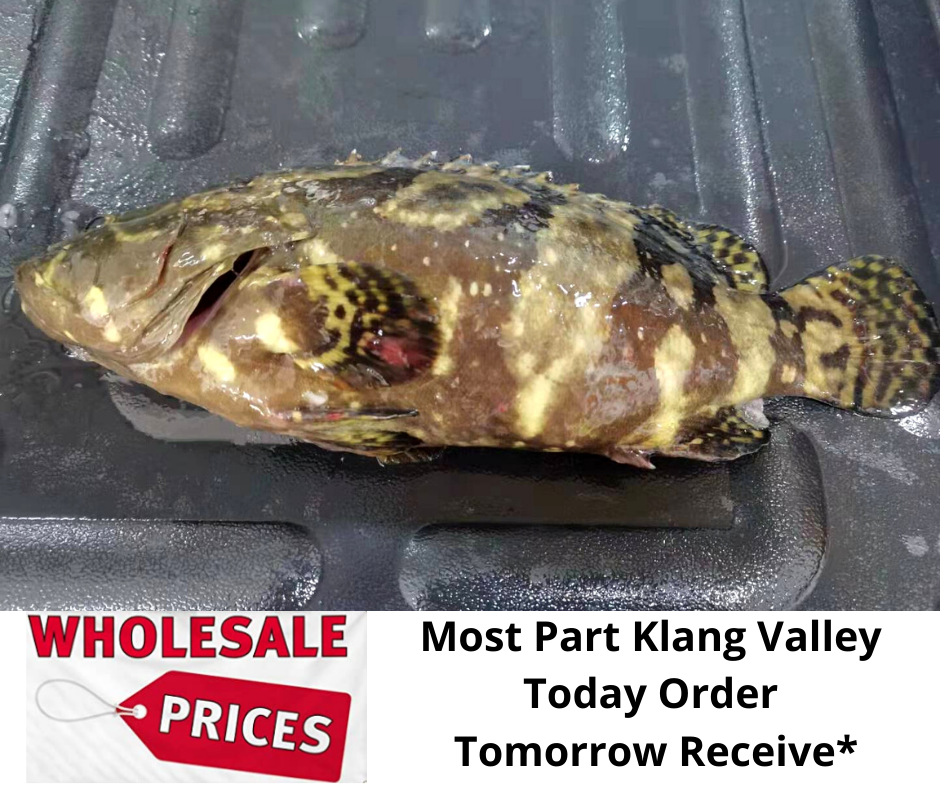 Copy of Wholesale Price (19).png