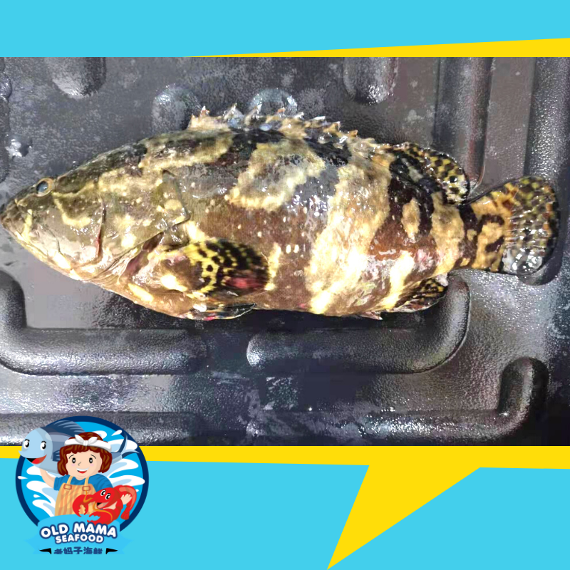 Copy of main product (8).png