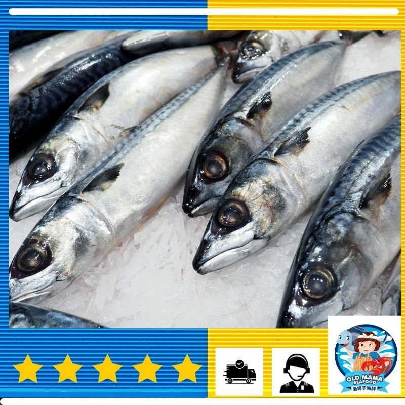 saba mackerel .jpg