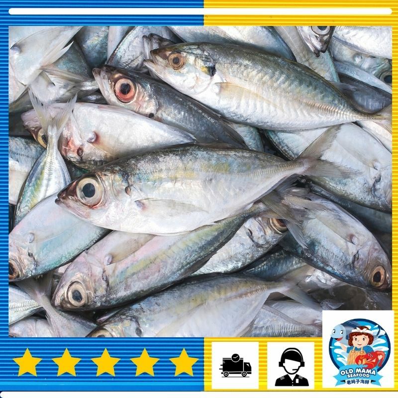 ikan kambong.jpg