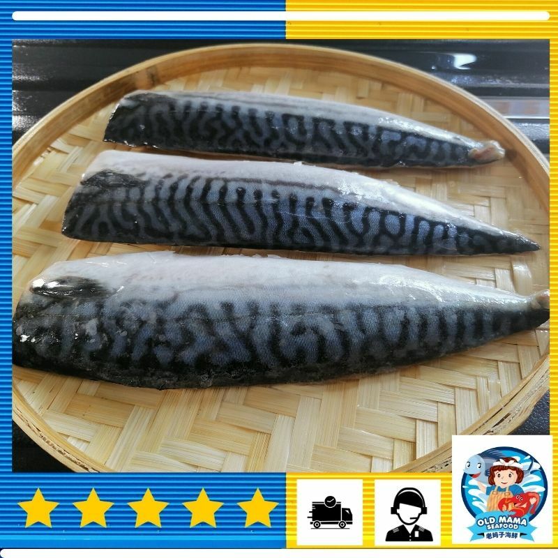 saba fillet new.jpg