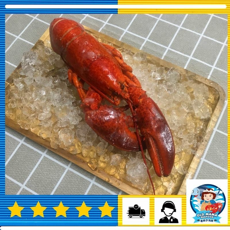 boston cook lobster.jpg