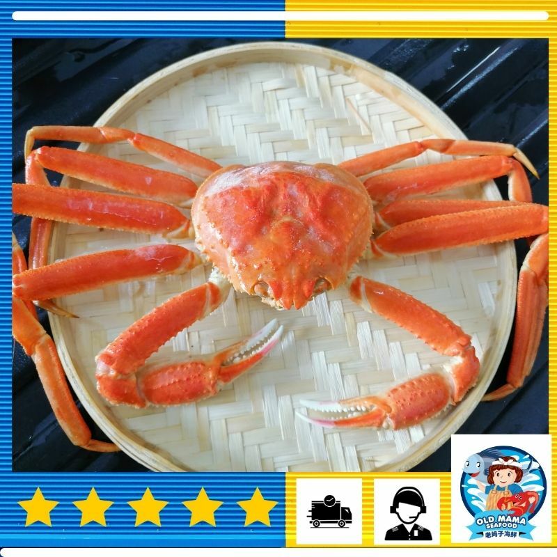 snow crab .jpg