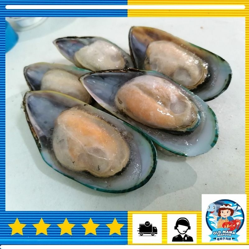 half shell green mussel.jpg