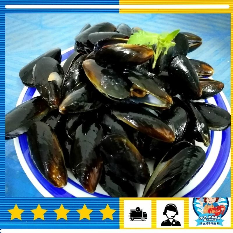 full shell blue mussel.jpg