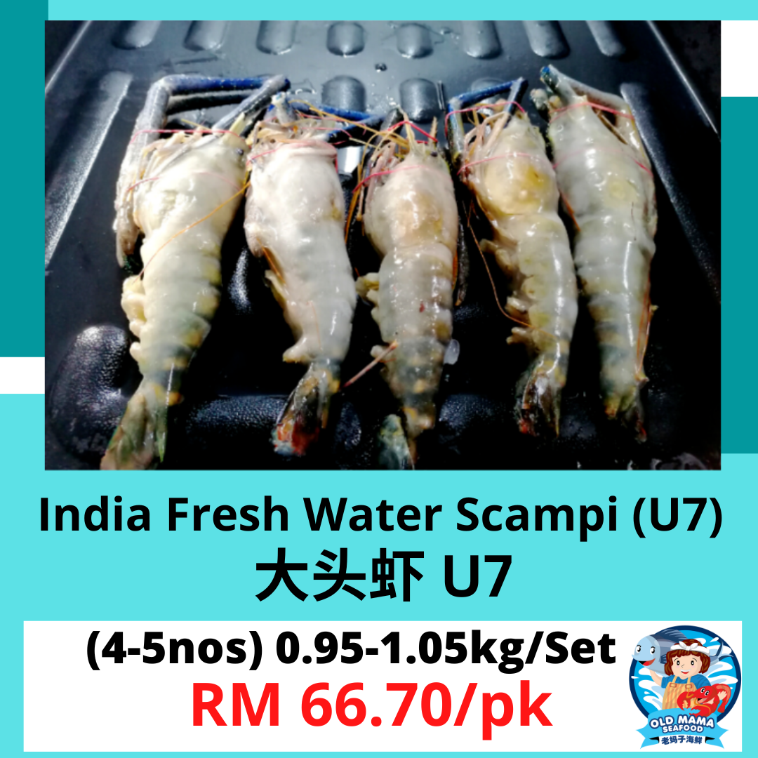 scampi u7 set