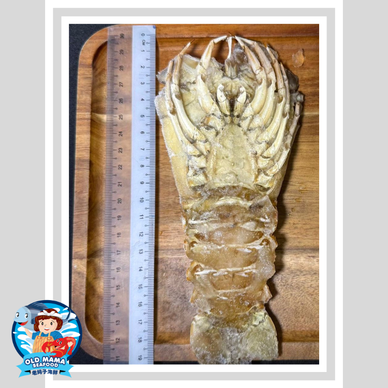 Copy of ready to cookdim sum (1)