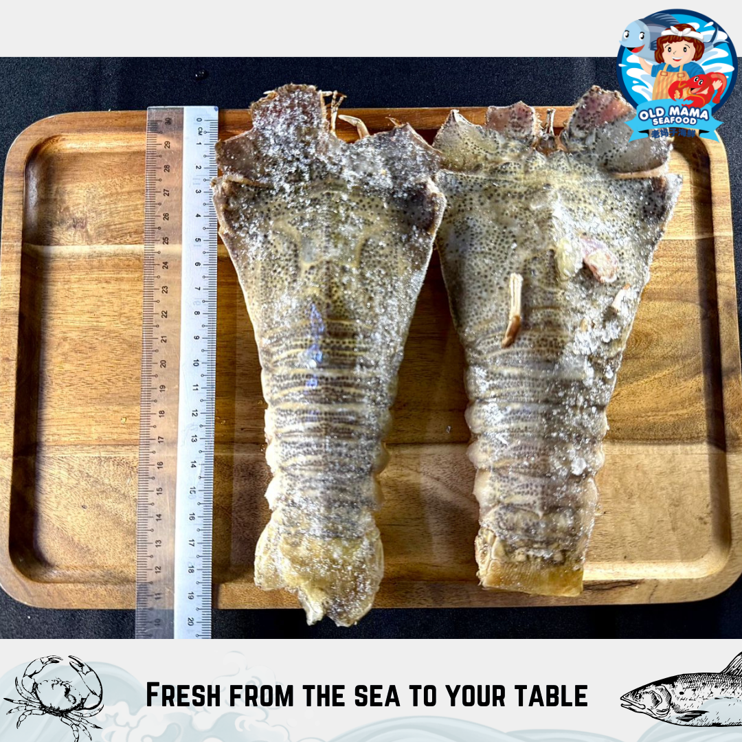 OM template example 2 (2)