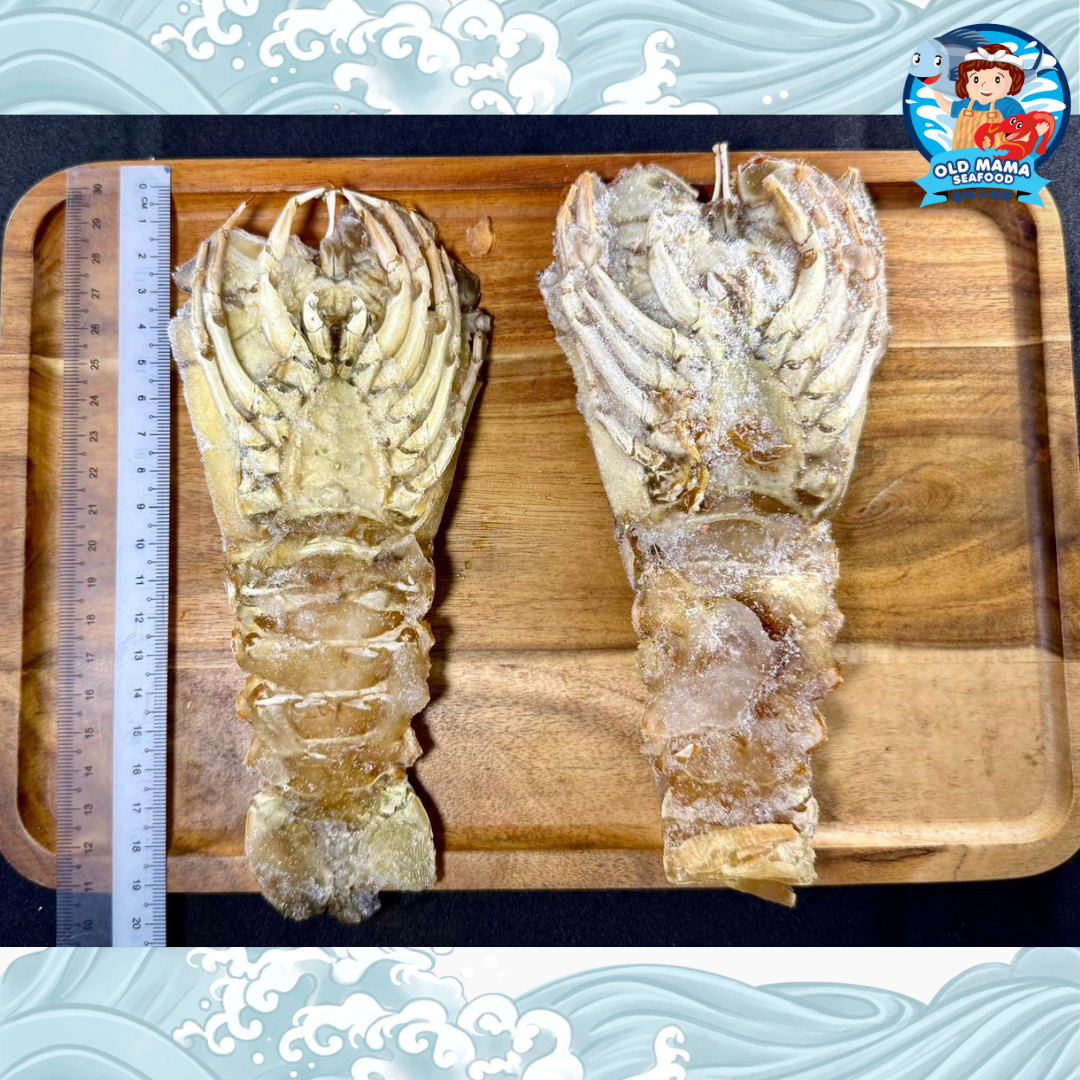 OM template example 2 (1)