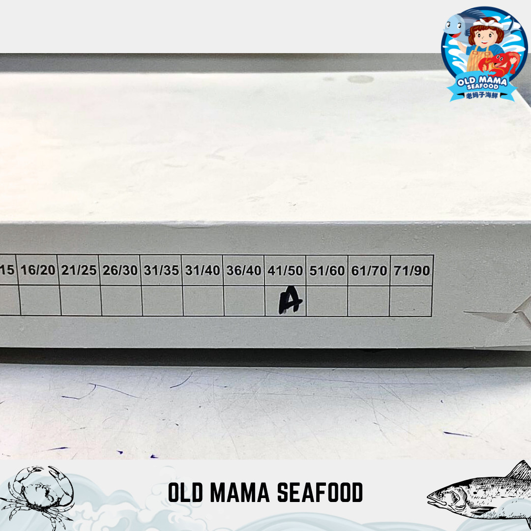 OM template example 2 (1)
