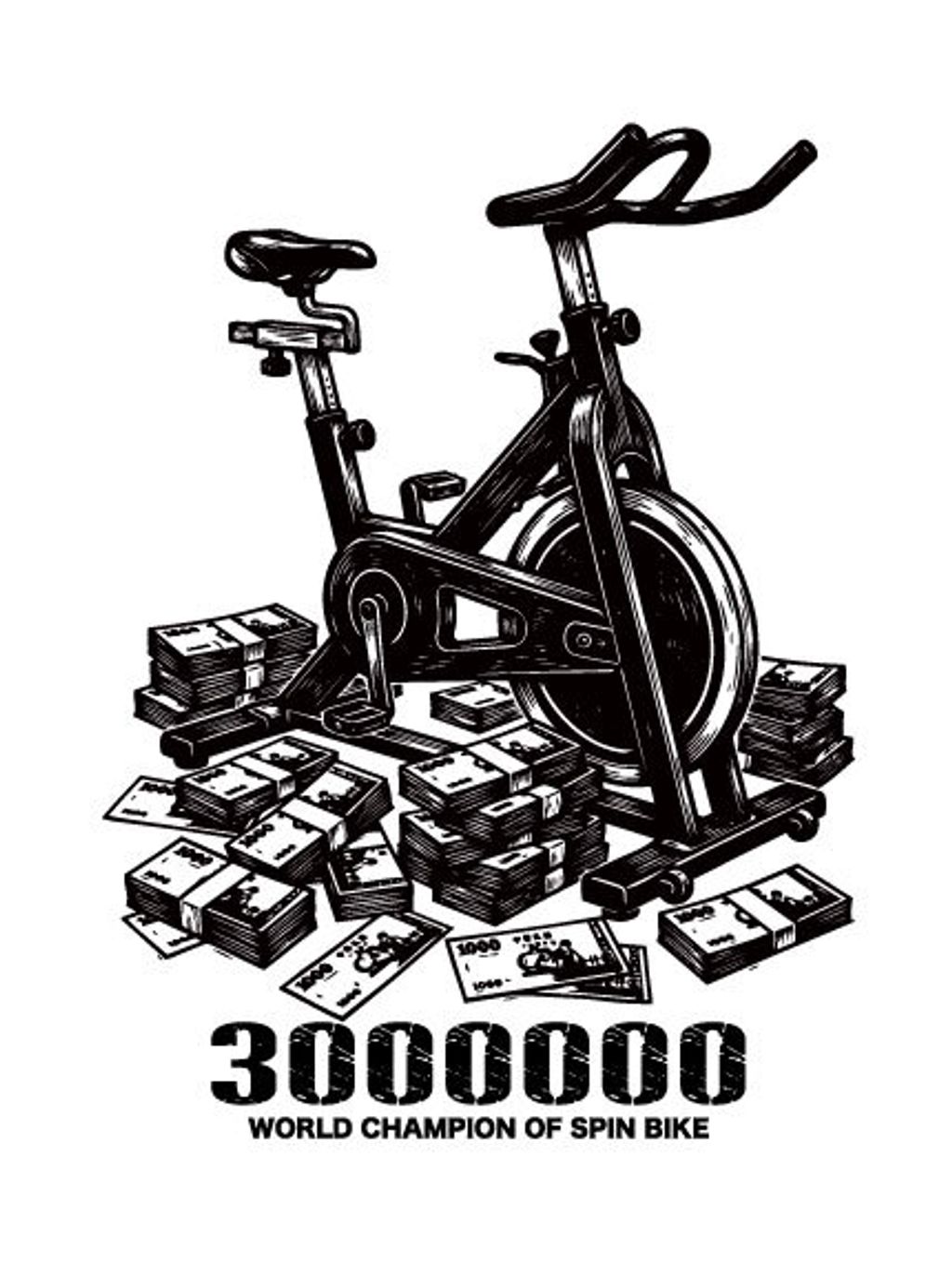 飛輪300