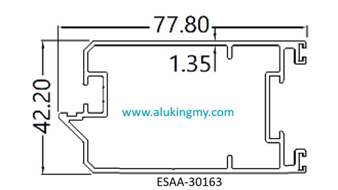 ESAA-30163