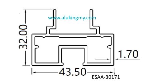 ESAA-30171