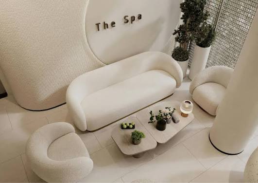 Professional facial steamer